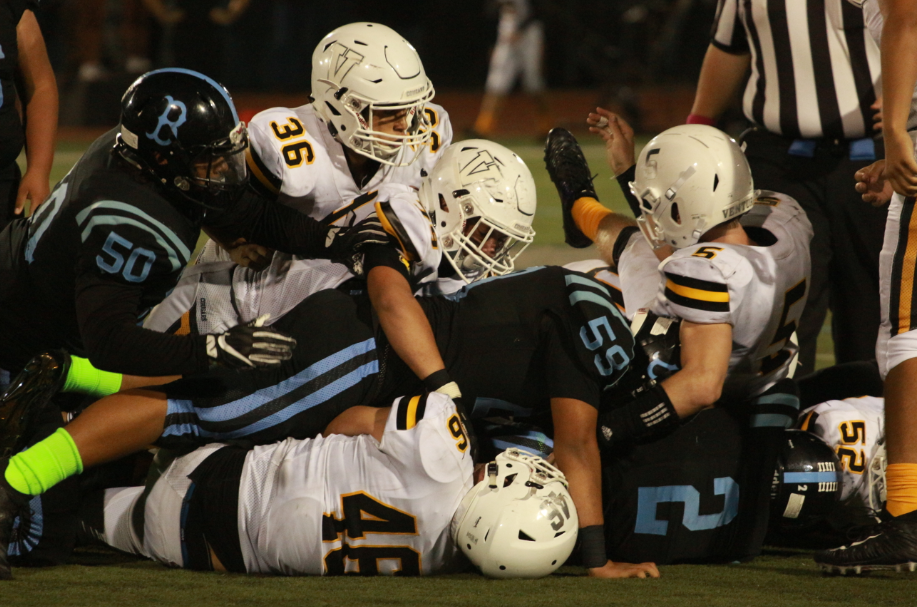 A Bulldog and cat pile. Credit: Jason Messner / The Foothill Dragon Press