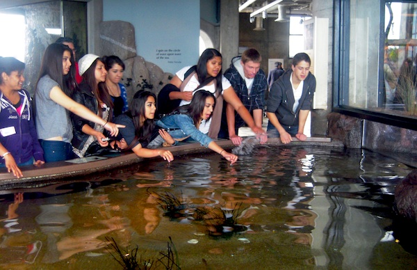 AVID students visited the Monterey Bay Aquarium during their trip to northern California. Credit: Jocelyn Rodriguez/The Foothill Dragon Press.