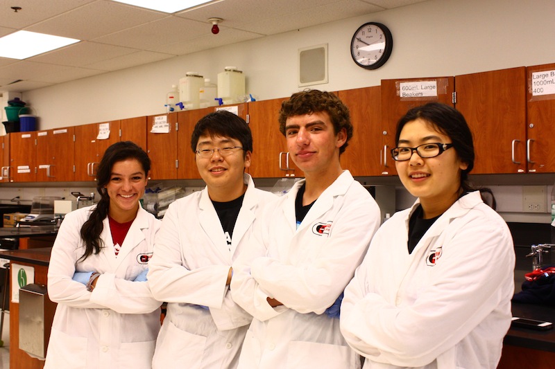 Seniors (from left) Amanda Torres, Jongseug Baek, Eric Moll and Emily Park participated in a lab that tested whether or not the meat in our grocery stores was what it was labeled as. Credit: Aysen Tan/The Foothill Dragon Press