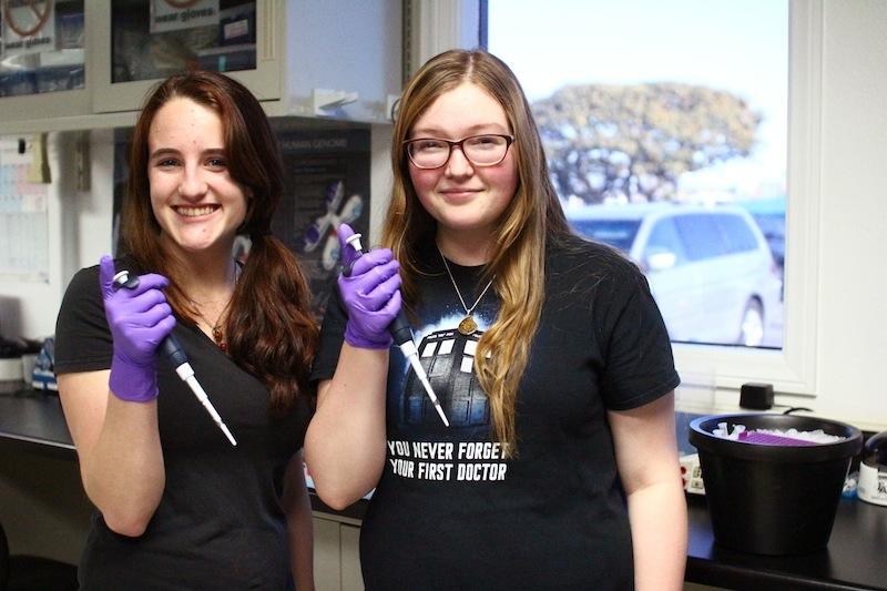 Seniors Ami Ballmer and Claire Jurgenson were able to sequence the DNA of an oarfish that washed up on the beach for a Coastal Marine Biolabs project. Credit: Aysen Tan/The Foothill Dragon Press