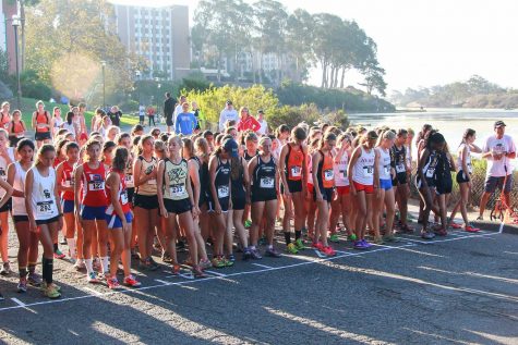 Credit: Josh Ren/The Foothill Dragon Press