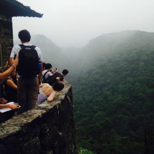 Looking out over the Mata Atlântica, or Atlantic Rainforest. Photo Courtesy of Bella Bobrow.