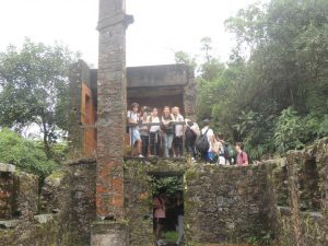 Serra do Mar 2