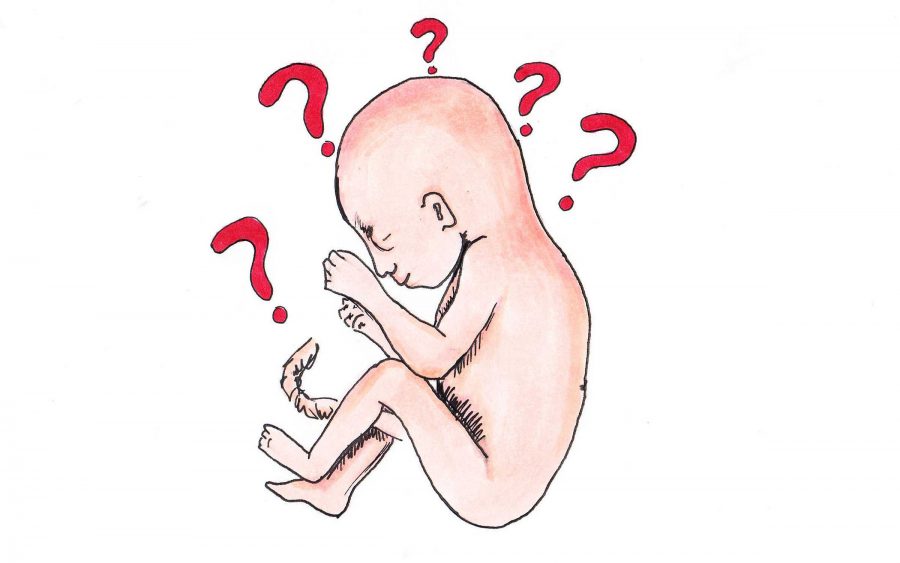 The highly sensitive subject of abortion is often debated, though many still have questions about the taboo topic. Credit: Jessie Snyder/The Foothill Dragon Press.