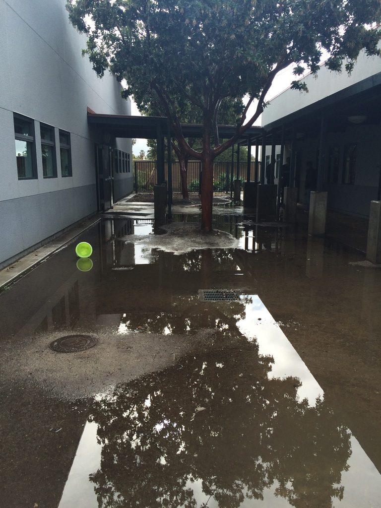 Last week's El Nino storm showed the potential of flooding. Credit: Grace Carey/The Foothill Dragon Press