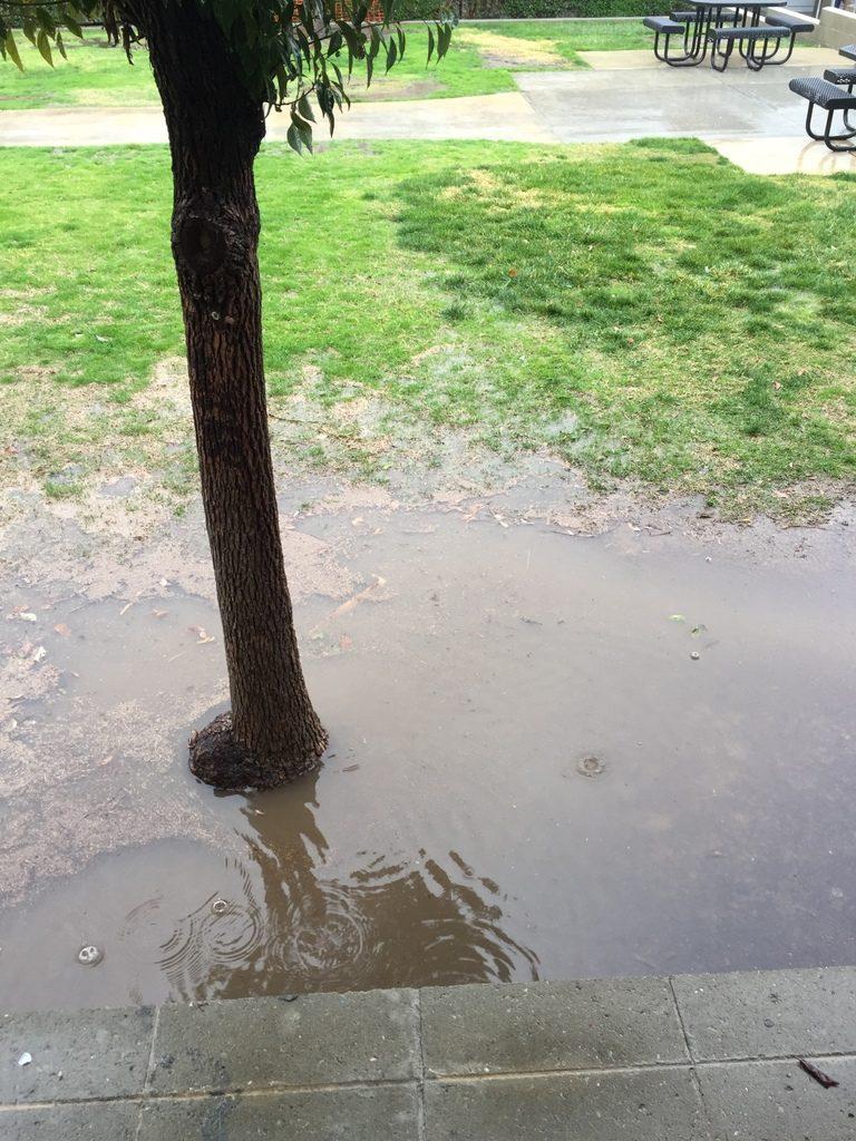 Campus flooding after last Wednesday's storm. Credit: Ela Yasa/The Foothill Dragon Press
