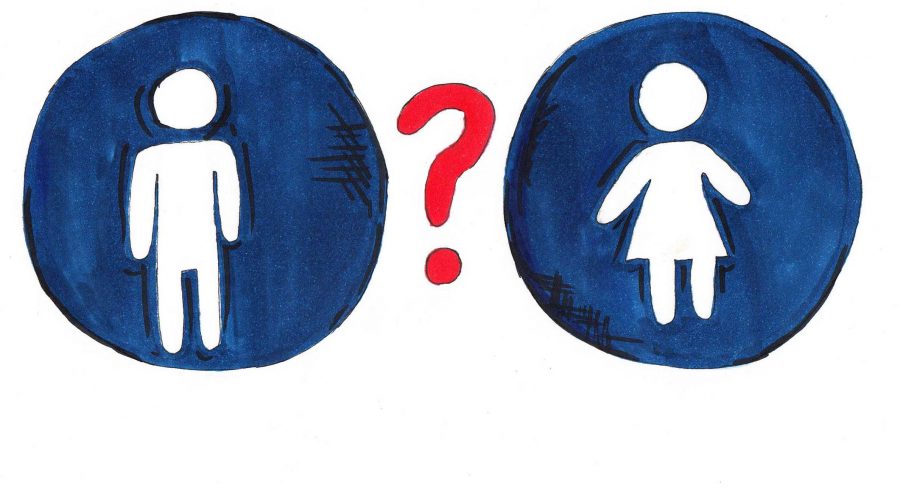 How do we solve the “biased bathroom” law?