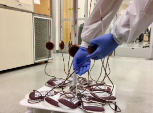 Blood Donations: Where to next?