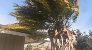 Staying safe in the Santa Ana winds