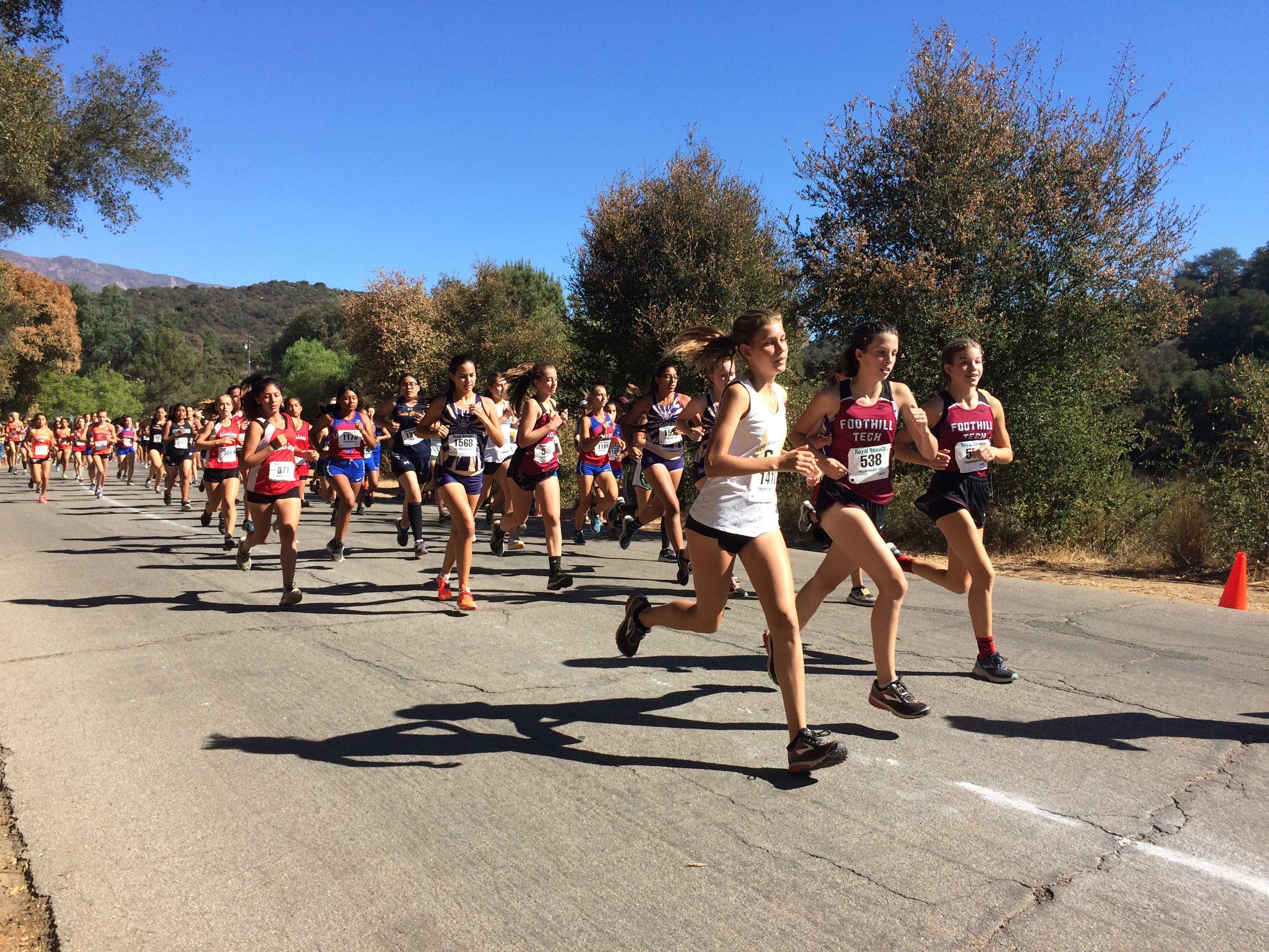 Cross Country takes on Ojai Invitational The Foothill Dragon Press