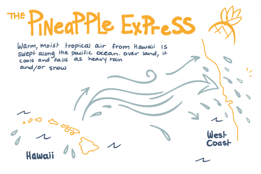 Visual depicting the Pineapple Express. Credit: Maya Avelar / The Foothill Dragon Press