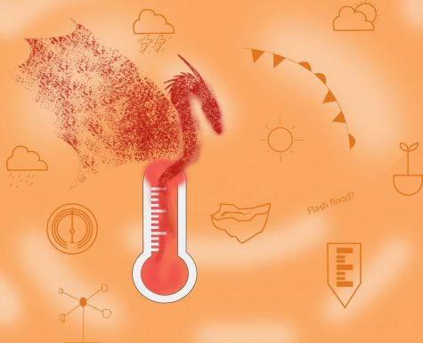 Weather 101: Storm Watch