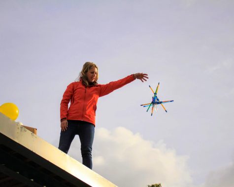 Physics principles of the Egg Drop