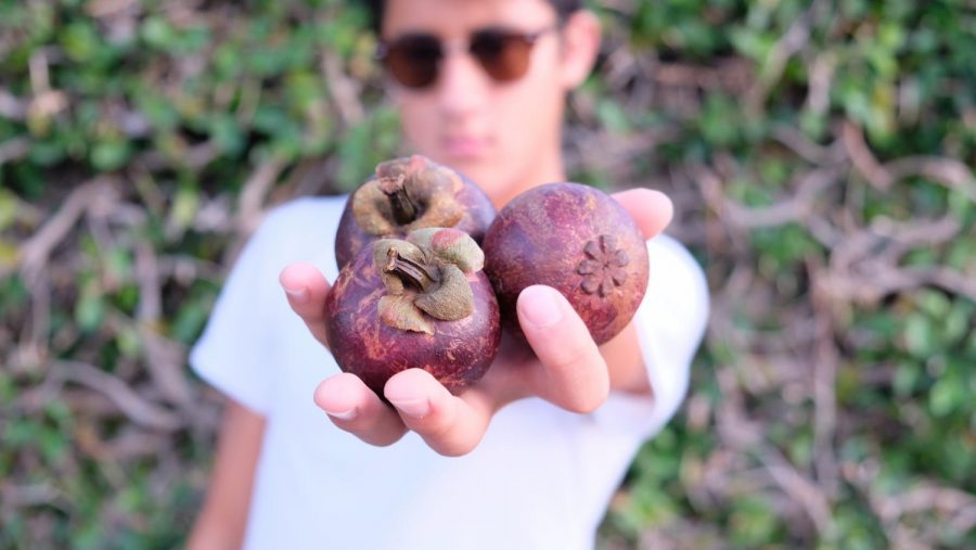 The mangosteen can be found at your local grocery store