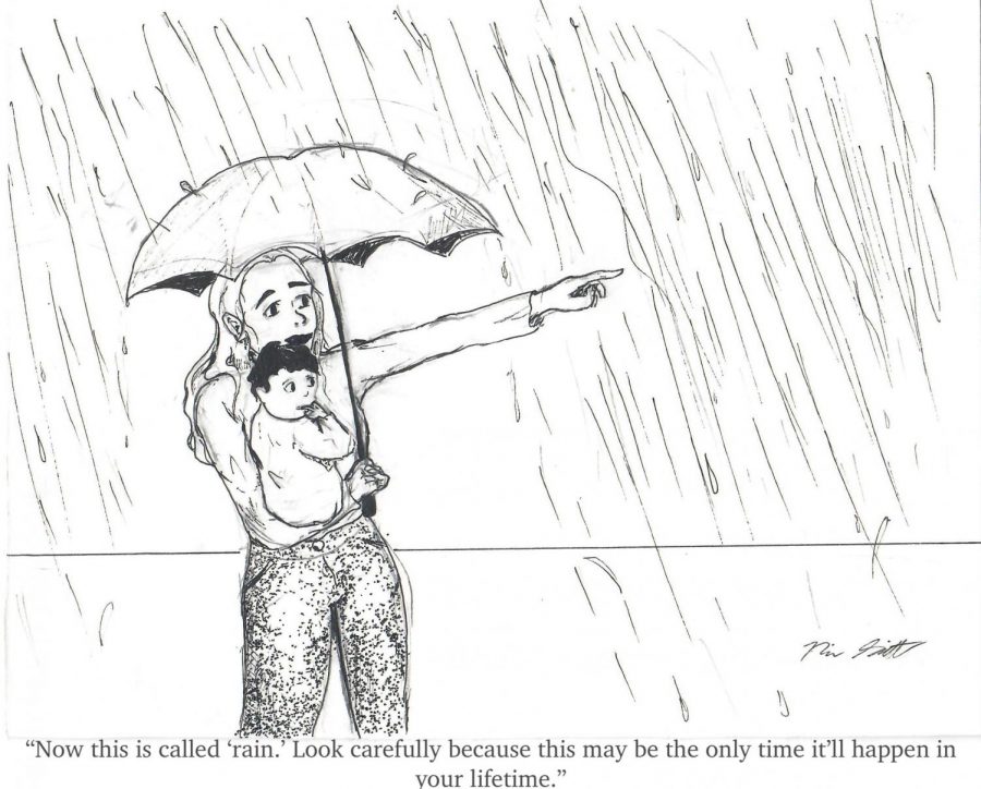 Cartoonist Naomi Schmitt feels like rain is phenomenon few Californians have experienced