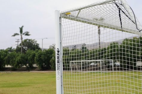 Athletes of all sports are yearning to return to the closed fields and courts. 