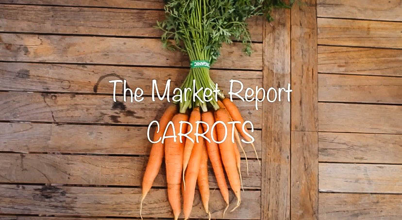 Lets take a deeper look into these seemingly simple orange and leafy green vegetables in this installment of The Market Report.