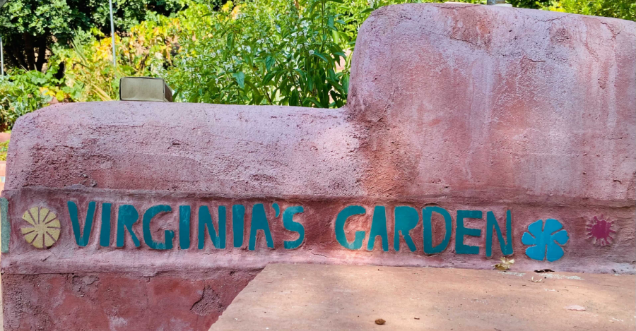Home garden’s are all the rage these days with the continuing pandemic. Home gardener Virginia, enlightens us on her own tips and tricks to a successful garden and gives tips on how to start your own garden.