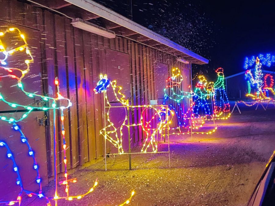 Brightening up Venturas Christmas, Holiday drive-thru lights up the Fairgounds