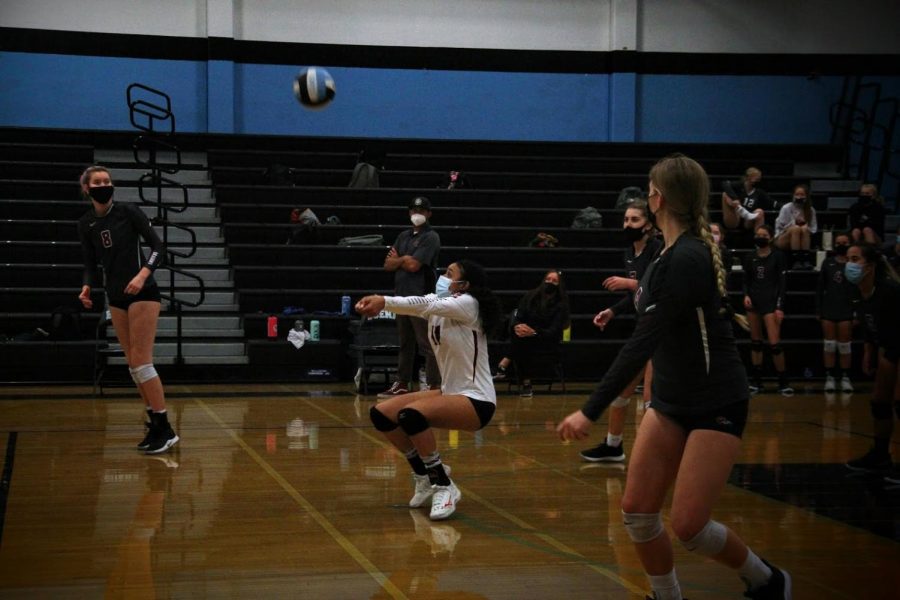 Lola Tennison 24 receives the ball from the Bulldogs and sets it to the front row.