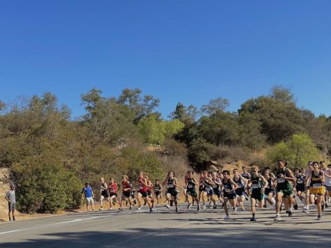 Runners rush by at the beginning of the boys’ 3-mile race.