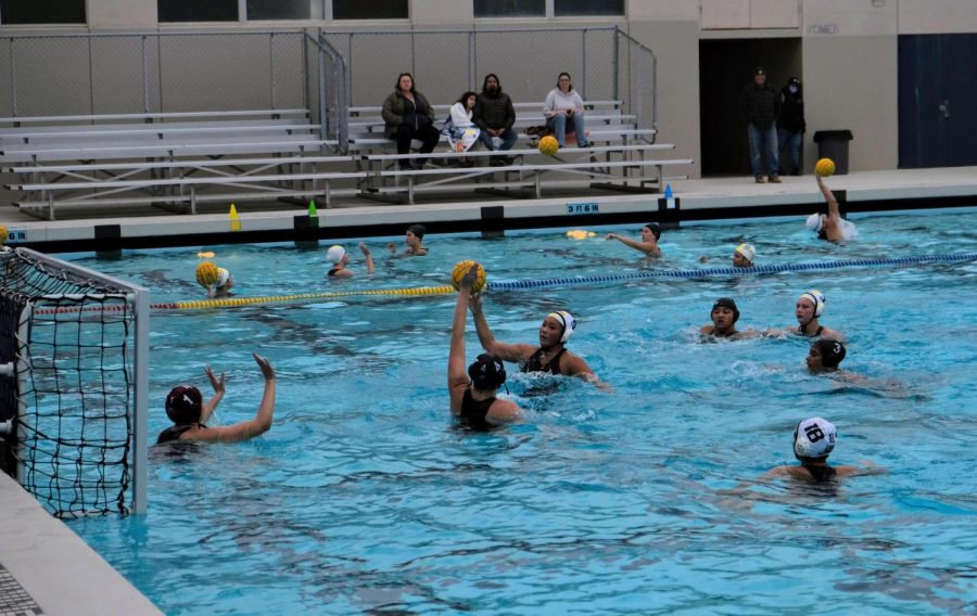 Foothill+Techs+girls+water+polo+faces+off+against+Buena+High+School+in+a+hard-hitting+game.