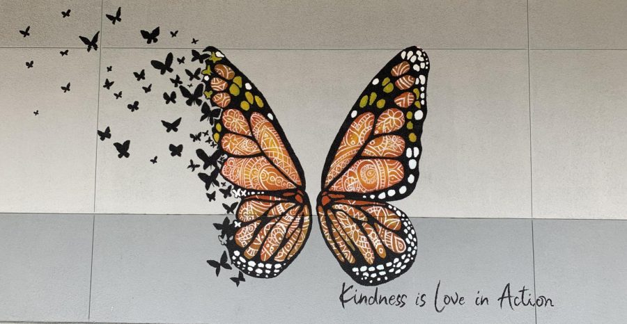 The eye-catching colors of the monarch butterfly on the D108 wall reminds students of Erica Conchas' unwavering kindness.