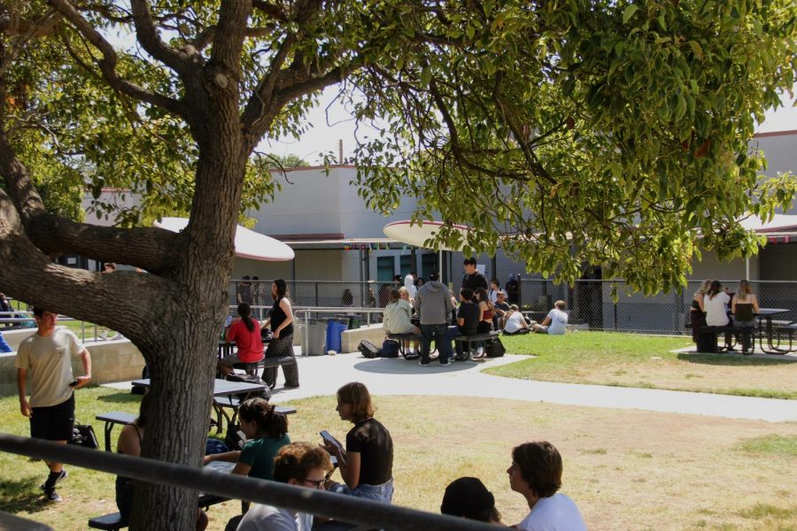 Students enjoy a relaxing lunch among the chaos of schedule changes and confusion for both students and teachers.