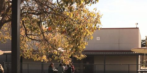 Tune in to watch writer Isheeta Pal go around the campus of Foothill Technology High School to ask students and faculty what they love about themselves.