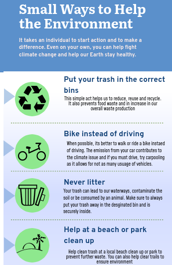 With the Willow Project harming the environment, there are other ways we can save our Earth. By following these easy steps, individuals can have a real impact on our climate and well being.