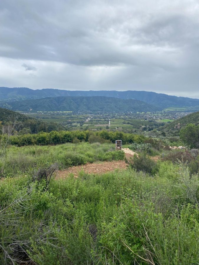 Views from the Gridley Trail show lush farmland in the Ojai Valley and the diverse array of crops native to Ventura County. 
