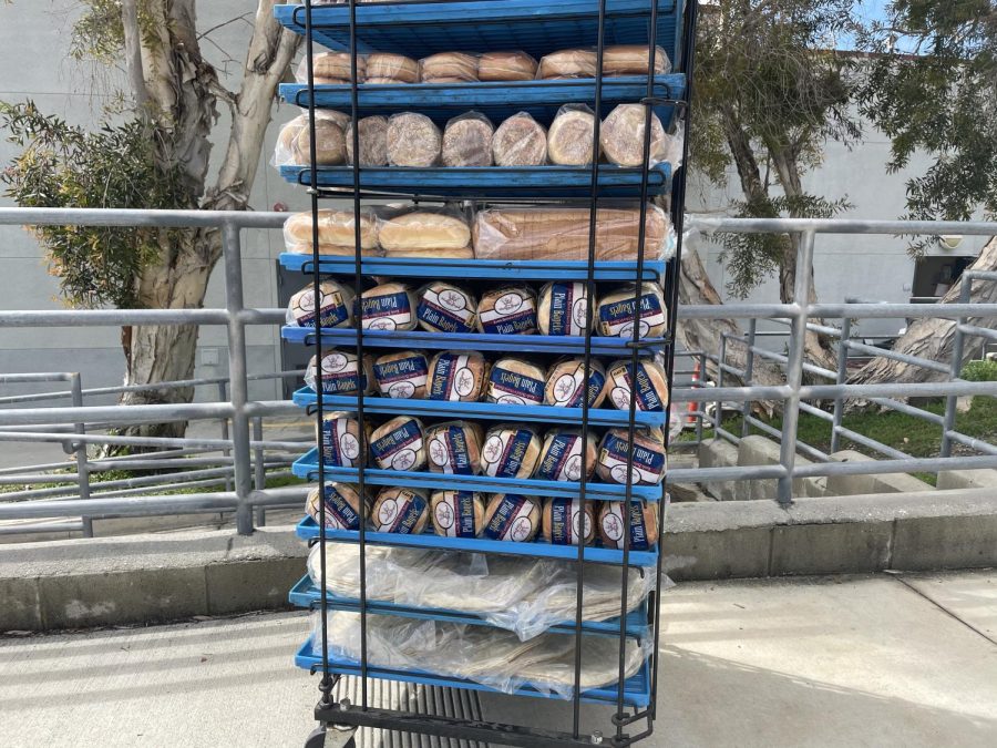 As a shipment of breads arrives at Foothill Technology High School (Foothill Tech), a plethora of plain bagels storms Spirito Hall.