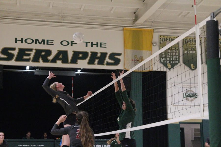 Danielle Bishop 23 soars above the net, getting ready to slam the ball down on her opponents.