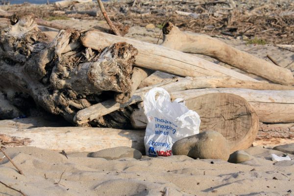 Throughout the city of Ventura, pollution is washed down to the beaches through rivers and gutters, depositing cups, bags and other various trash onto our beaches and into the oceans.