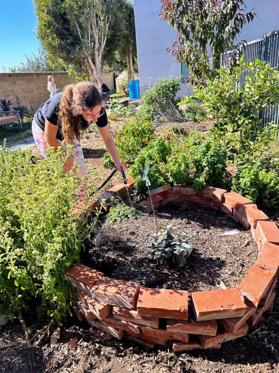 Students from the garden club work tirelessly to keep their plants alive. Between watering during lunchtime to planting new seeds, the club is a wonderful way to experience the Foothill Technology environment.