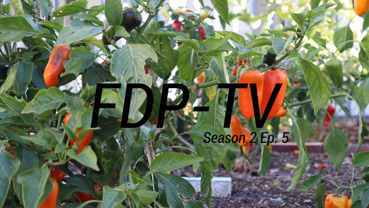 After taking a week of rest, students return from fall break refreshed and ready for the end of the first quarter of the school year. Tune in to this episode of the FDP-TV to learn more about upcoming articles, intriguing sports features and the upcoming events at Foothill Tech.