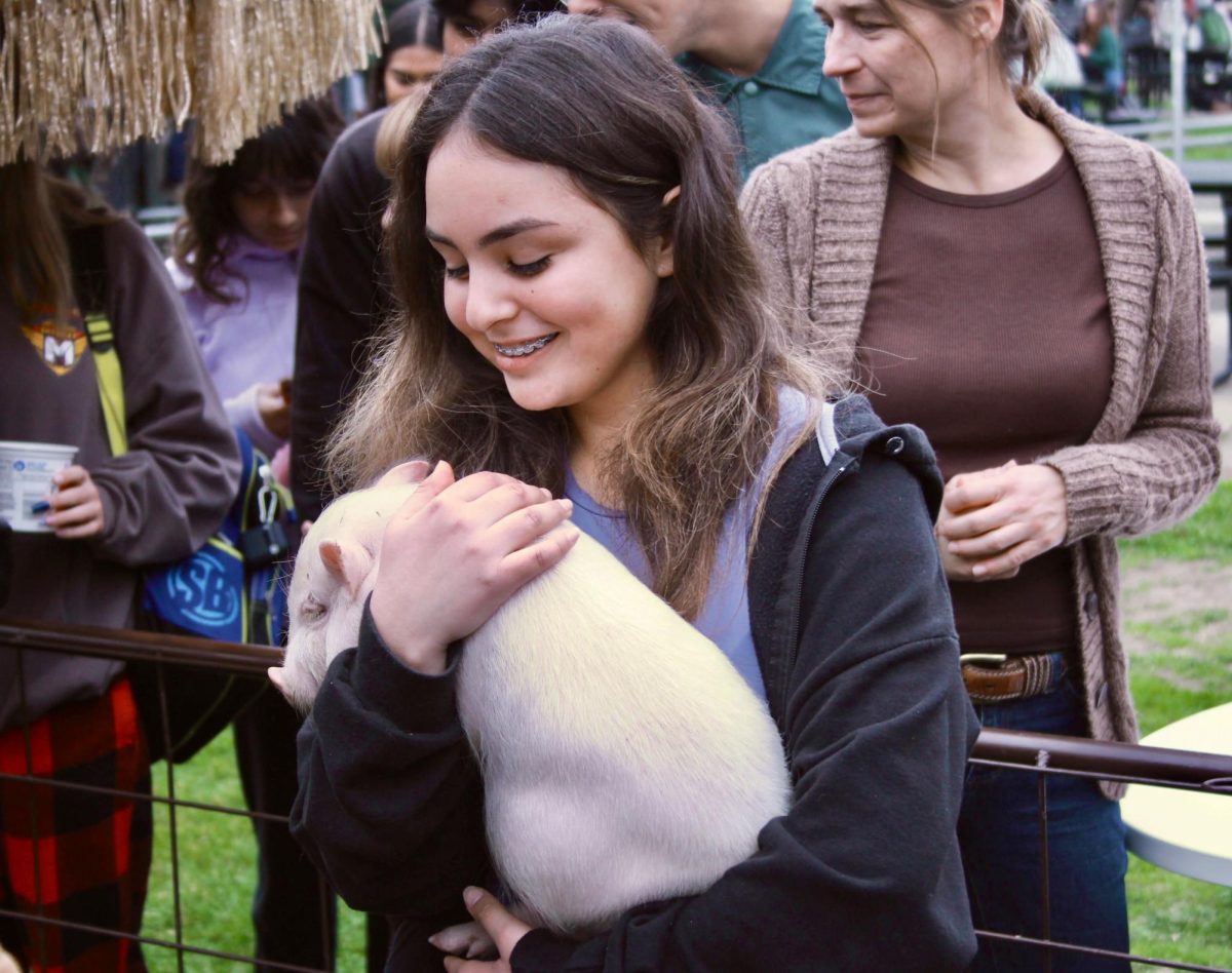 The Foothill Technology High School (Foothill Tech) Wellness Center hosted a wonderful petting zoo for the entire school to enjoy. Students were able to de-stress in the company of chickens, goats, ducks, guinea pigs, a potbelly pig and a turtle.