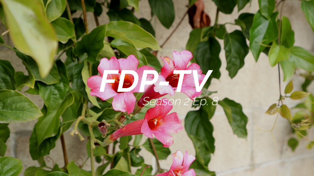 FDP-TV+is+back+with+the+highly+anticipated+eighth+installment+of+season+two.+Tune+in+for+coverage+on+the+Wellness+Centers+way+of+helping+students+cope+with+finals%2C+soccer+and+basketball+recaps%2C+as+well+as+other+upcoming+articles+to+keep+an+eye+out+for.