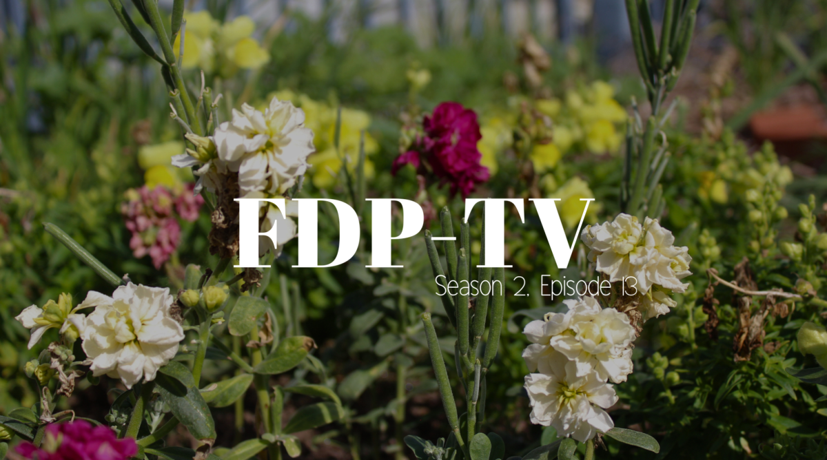 Tune in to this episode of the FDP-TV for upcoming news coverage and updates on the spring sports season. Additionally, stay tuned for new A&E and features articles on the site. 