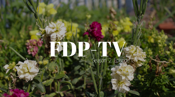 FDP-TV: Season 2, Episode 13