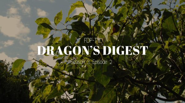 Dragon’s Digest: Season 3, Episode 2