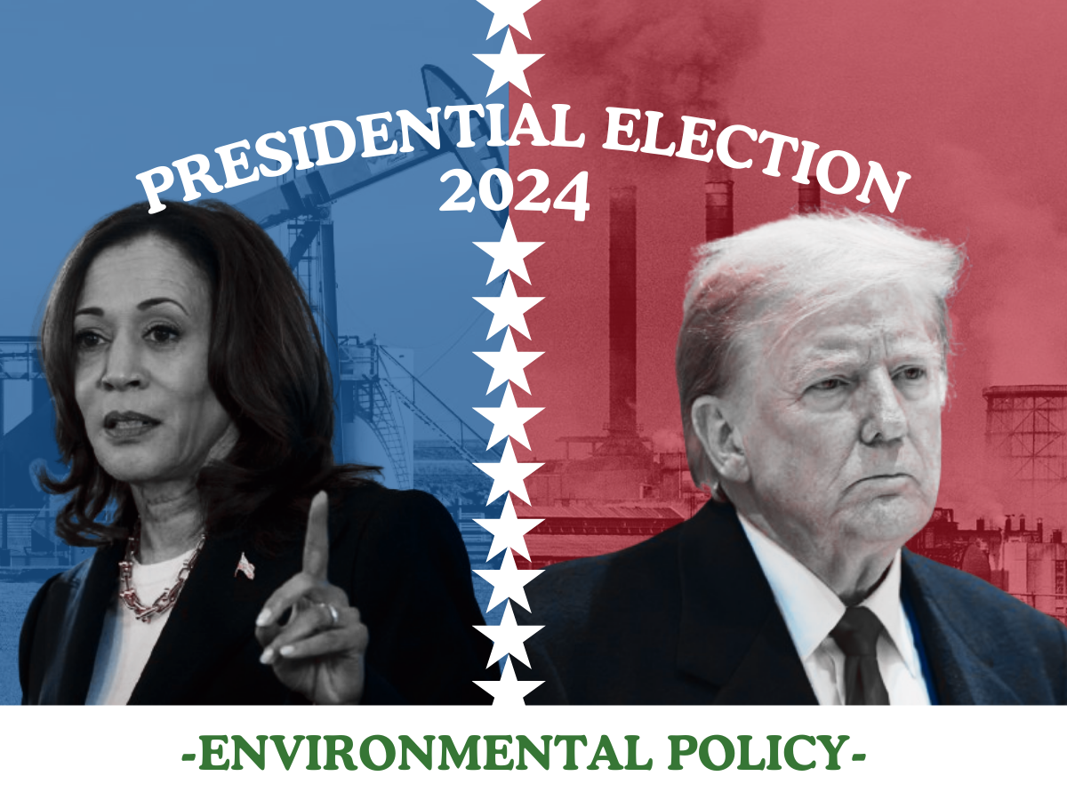 As a continuation of the 2024 Presidential Election series, this article dives into the swing states, exploring their demographics and what will influence how they vote come November, along with touching on the campaign trails of both Presidential candidates.