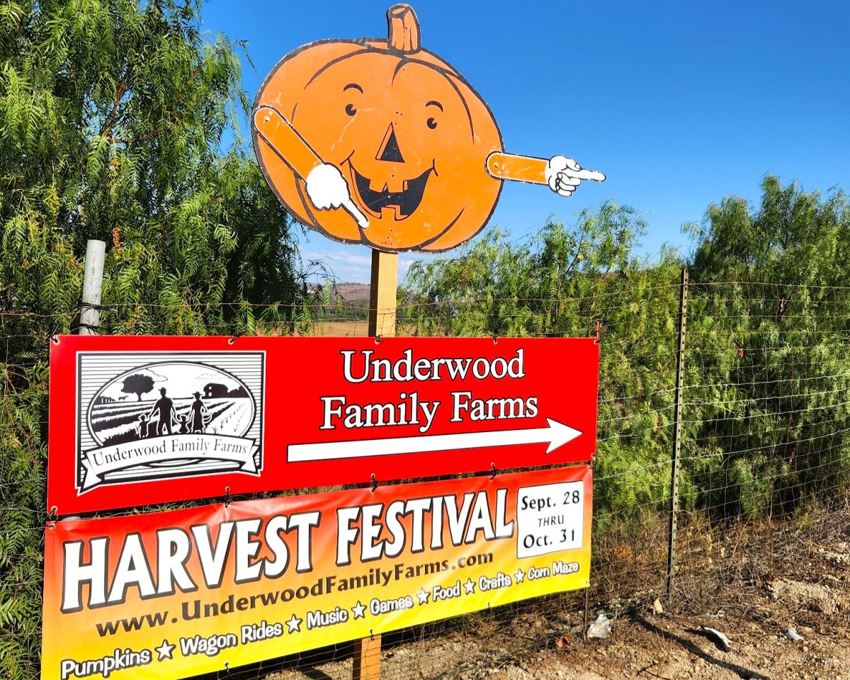 October is a month for festive celebration and fun. Ventura County offers a wide variety of activities to choose from during the Halloween season. From pumpkin patches to haunted houses, there is no shortage of entertainment to be found for all.