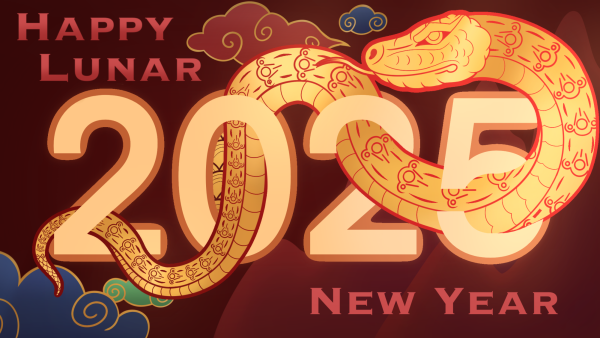 Cartoon 117: Lunar New Year