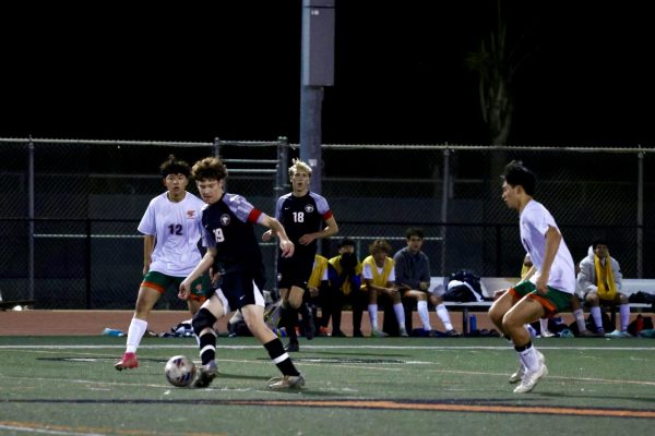 Boys soccer eliminated in second round match against Cobalt