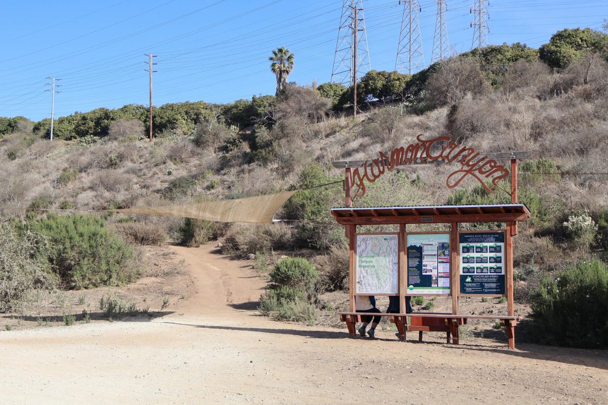 Ventura is home to many well loved hikes and trails, one of them being Harmon Canyon. No matter your experience level in hiking, Harmon Canyon has something to offer. From beautiful local plants to a great trail for runners, this scenic route is widely popular among people of all ages and skill levels.