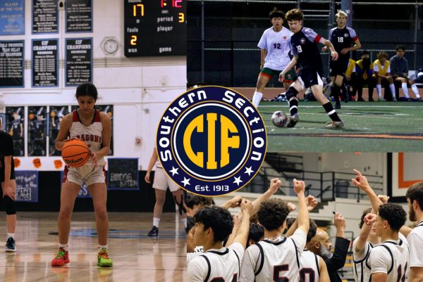 Sports Retrospective: Winter CIF Playoffs