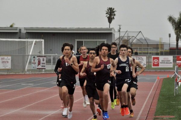 Track and Field take on Don Green and Spartan Relays