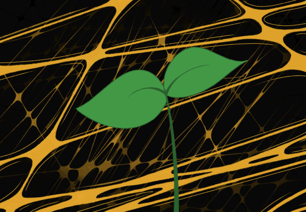 Opinion: Is AI bad for the environment?