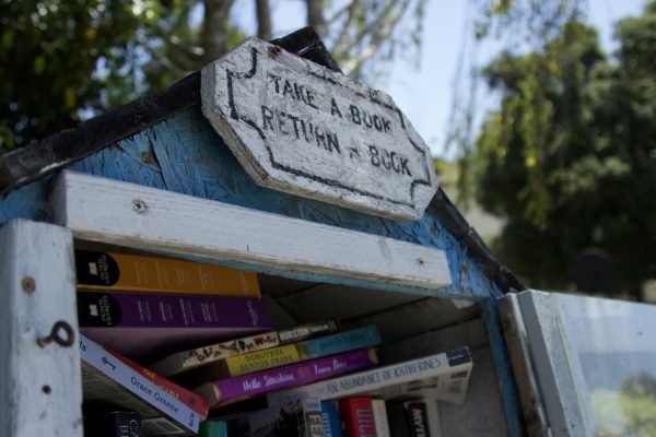 The Little Free Library: Connecting communities with literature